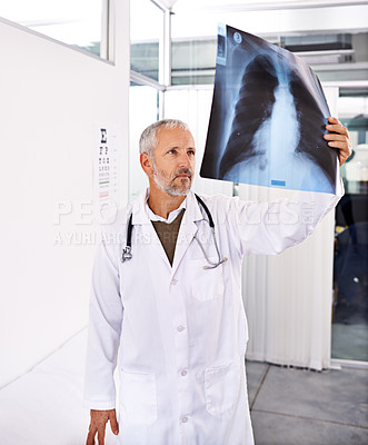 Buy stock photo Shot of a mature male doctor examining an x-ray image at a hospital