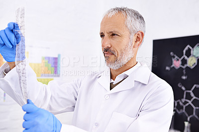 Buy stock photo Scientist, mature man and dna results with medical analysis, review blood test and experiment information. Researcher, reading and genetic markers in lab for investigation, study and vaccine report