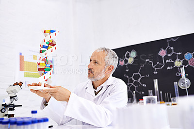 Buy stock photo Shot of a mature male scientist holding a model of a DNA molecule in his lab