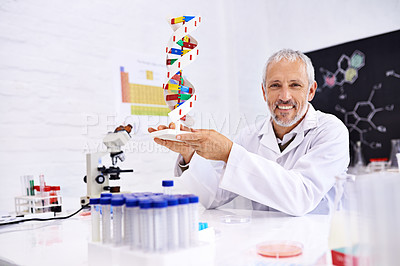 Buy stock photo Mature, man and portrait with DNA model for genetic research and lab for science learning. Medical, working and smile with confidence from neuroscience development and physics equipment for study 