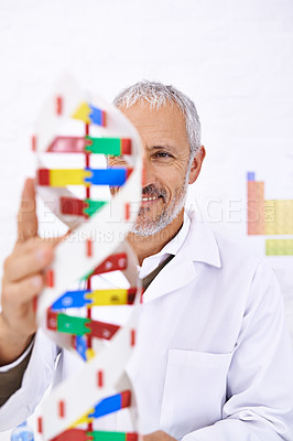 Buy stock photo Shot of a mature male scientist looking at a model of a DNA molecule