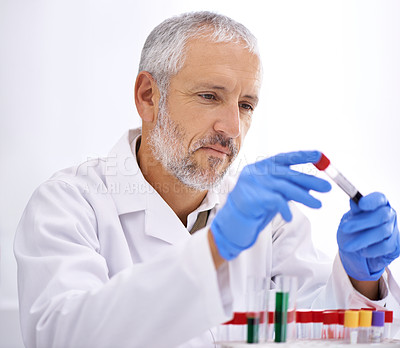 Buy stock photo Shot of a mature male scientist conducting lab tests