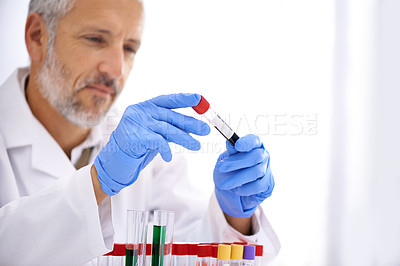 Buy stock photo Shot of a mature male scientist conducting lab tests