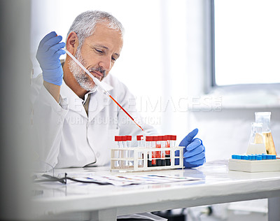 Buy stock photo Shot of a mature male scientist conducting blood tests in a medical lab