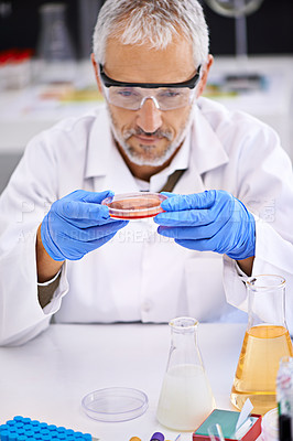 Buy stock photo Shot of a male scientist examining the contents of a petri dish during an experiment