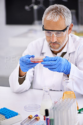Buy stock photo Shot of a male scientist examining the contents of a petri dish during an experiment