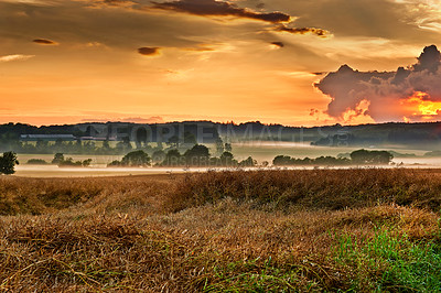 Buy stock photo Sunset, open field and plants or grass, ecology and travel to countryside or outdoor nature. Dusk, meadow and earth for landscape or peace and calm sustainability, horizon and growth in environment