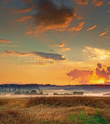 Buy stock photo A photo of a vibrant country field in harvest