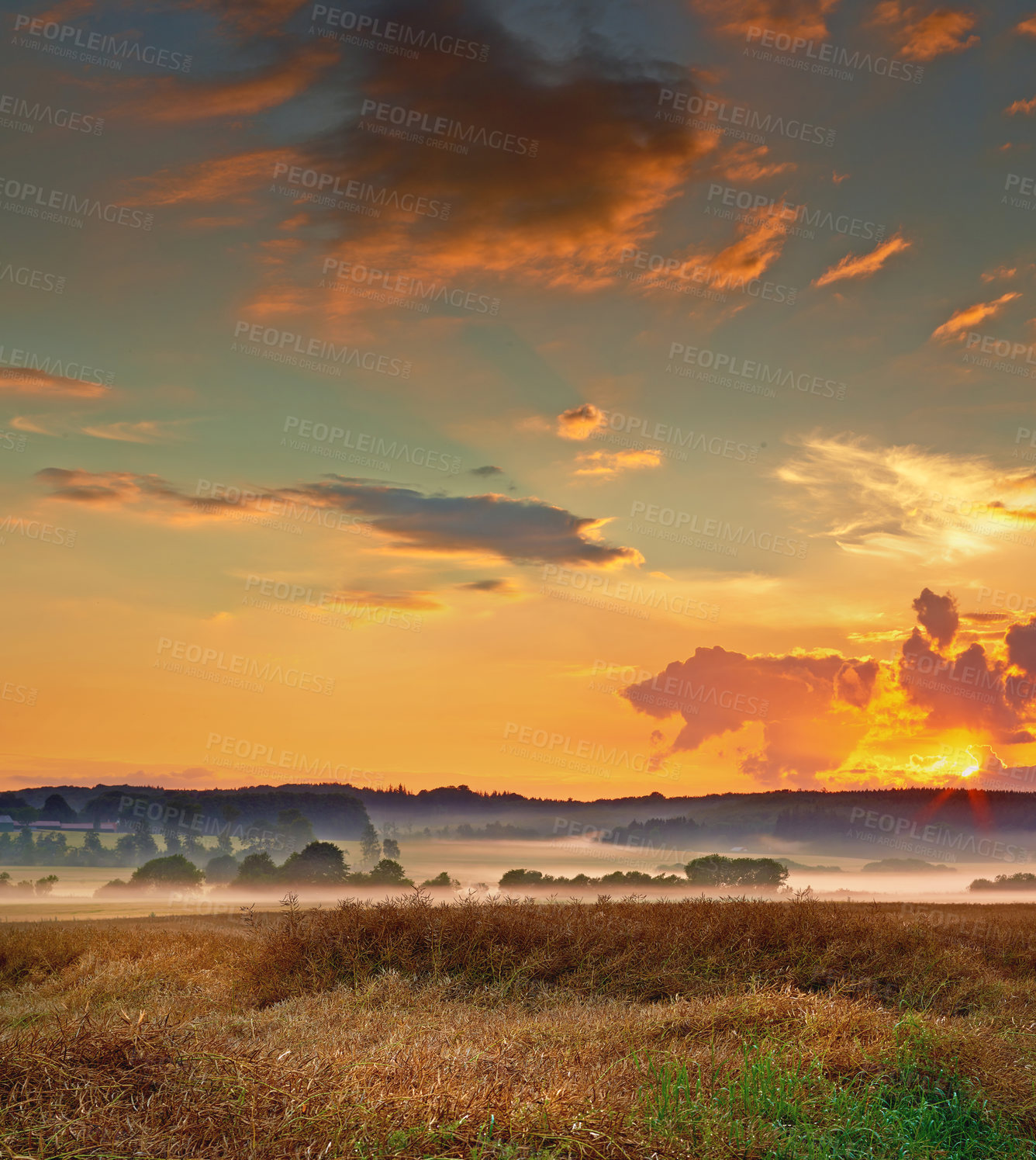 Buy stock photo A photo of a vibrant country field in harvest