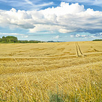 Time for harvest