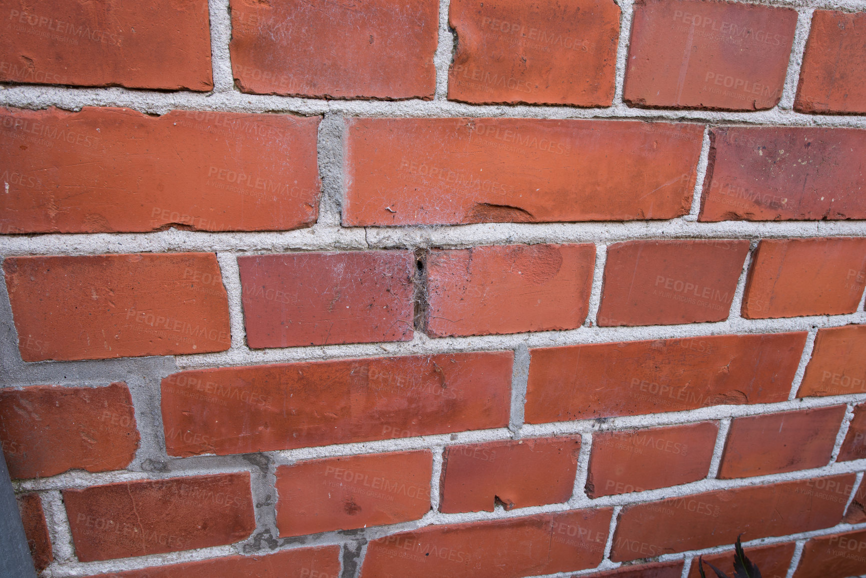 Buy stock photo A closeup shot of a brick wall