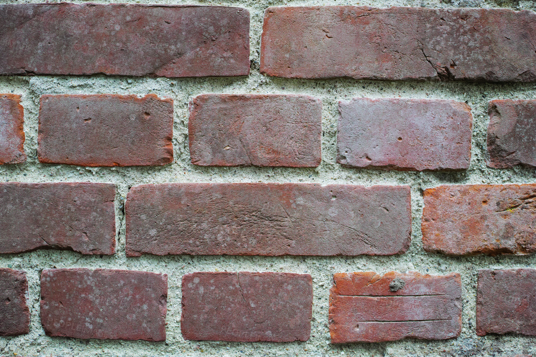 Buy stock photo A closeup shot of a brick wall