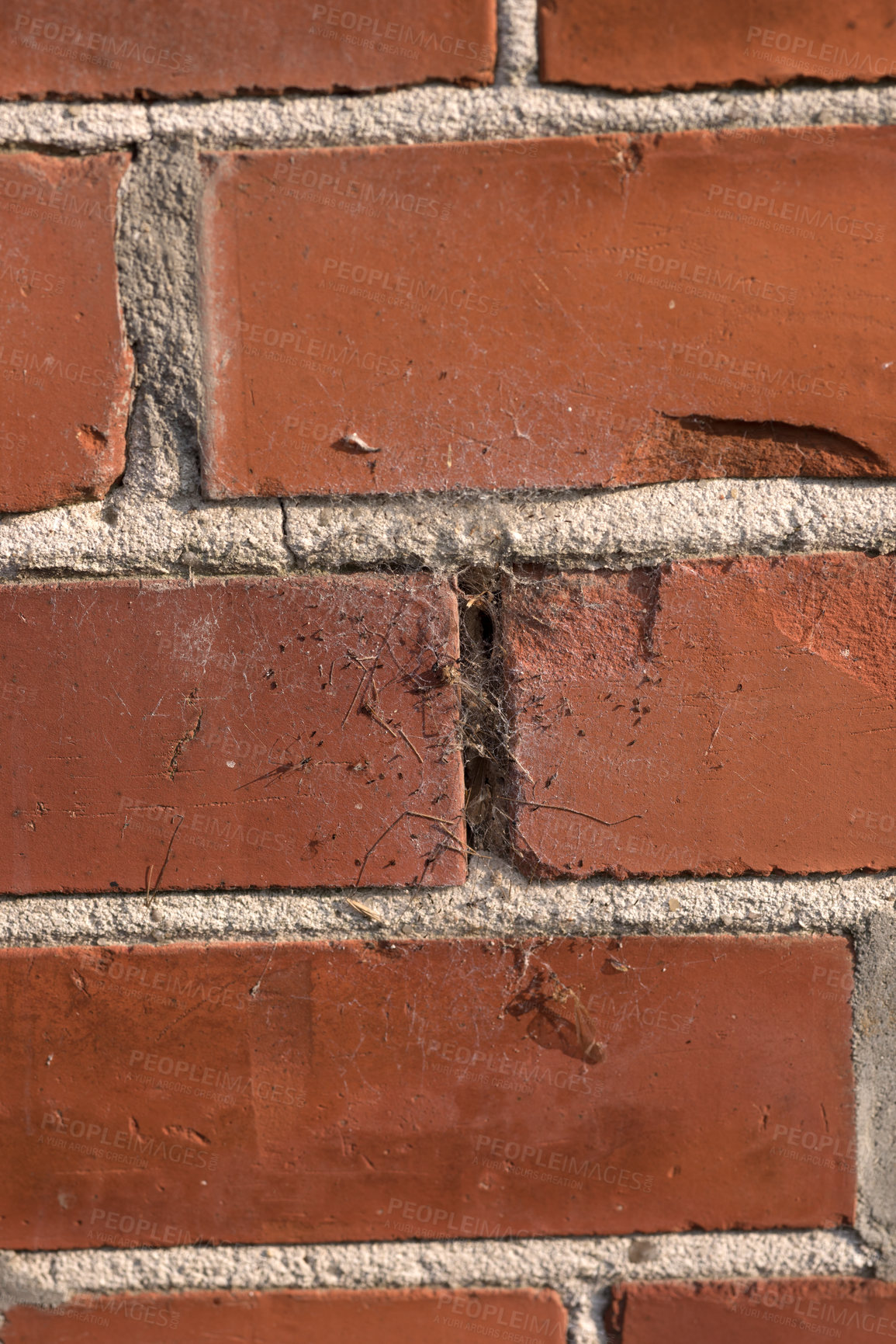 Buy stock photo Red, brick and closeup of cement for wall texture, concrete pattern and masonry in construction. Mortar, wallpaper and rough design with building material for exterior, detail or rustic background