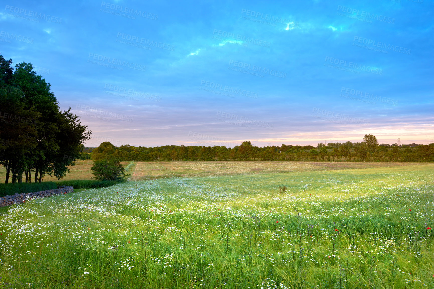 Buy stock photo Land, nature with travel landscape or farm, meadow or field in Germany with ecology, growth and sustainable. Environment, location and natural background with blue sky in countryside for biodiversity