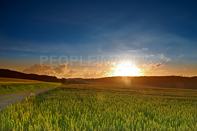 Buy stock photo Sunrise, landscape and farm with nature in field, travel or agriculture with sustainability, growth and eco friendly. Meadow, land or holiday in Switzerland with ecosystem, biodiversity and location