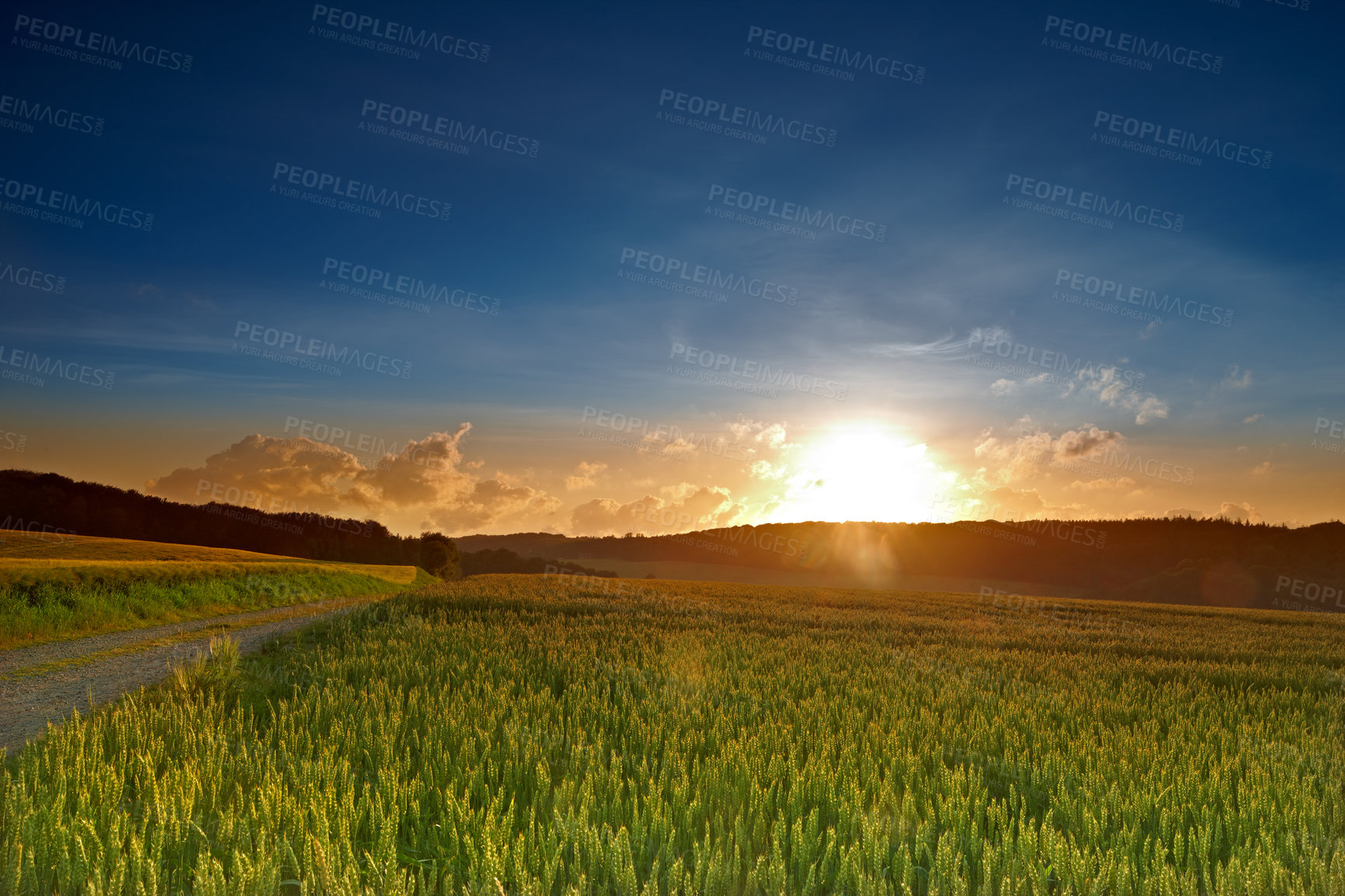 Buy stock photo Sunrise, landscape and farm with nature in field, travel or agriculture with sustainability, growth and eco friendly. Meadow, land or holiday in Switzerland with ecosystem, biodiversity and location