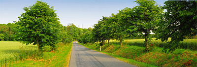 Buy stock photo Farmland, road and trees with field in environment for conservation, travel or roadtrip and landscape. Grassland, street or cornfield with grass, sustainability or ecosystem for countryside adventure