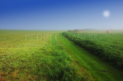 Buy stock photo Farmland and road in springtime - lots of copy space