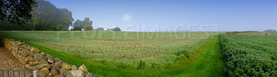 Buy stock photo Banner, landscape and nature for farming in field, blue sky and green for agriculture with sustainability, growth and eco. Meadow, Switzerland countryside and ecosystem, biodiversity and farmland