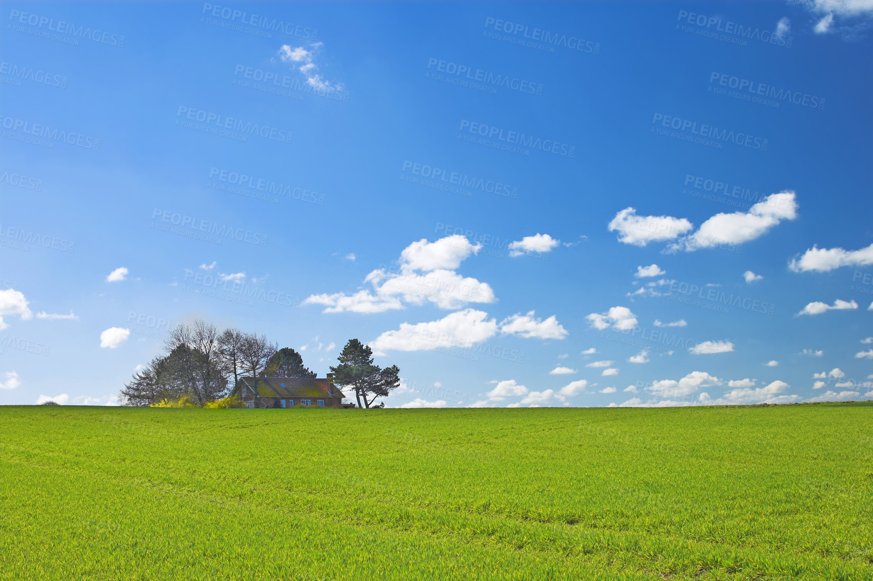 Buy stock photo Farmland and road in springtime - lots of copy space