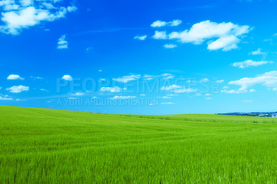 Buy stock photo Hill, clouds and blue sky with landscape of field for farm mockup space, environment and ecology. Plant, grass and horizon with countryside meadow for spring, agriculture and sustainability