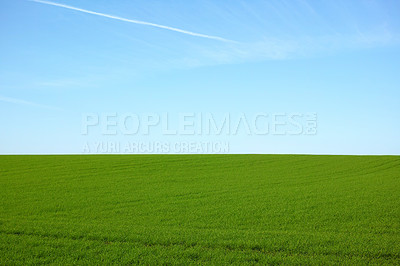 Buy stock photo Farmland in springtime - lots of copy space