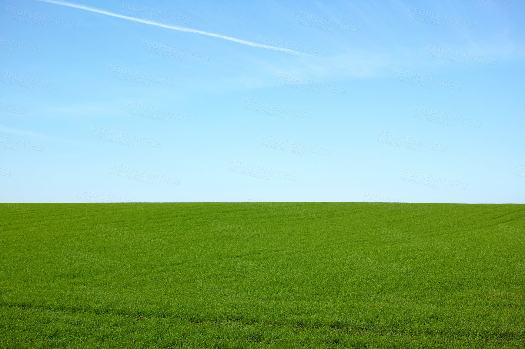 Buy stock photo Farmland in springtime - lots of copy space