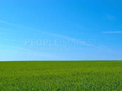 Buy stock photo Farmland in springtime - lots of copy space