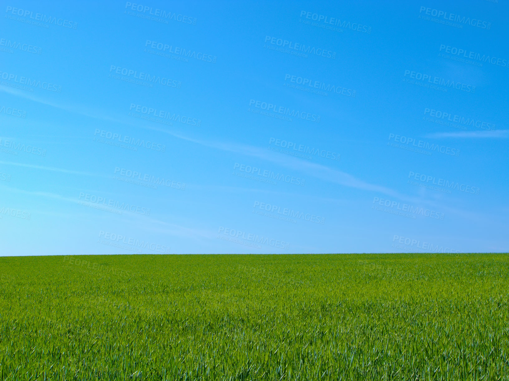 Buy stock photo Farmland in springtime - lots of copy space