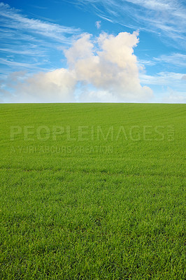 Buy stock photo Green, clouds and blue sky with landscape of field for farm mockup space, environment and ecology. Plant, grass and horizon with countryside meadow for spring, agriculture and sustainability