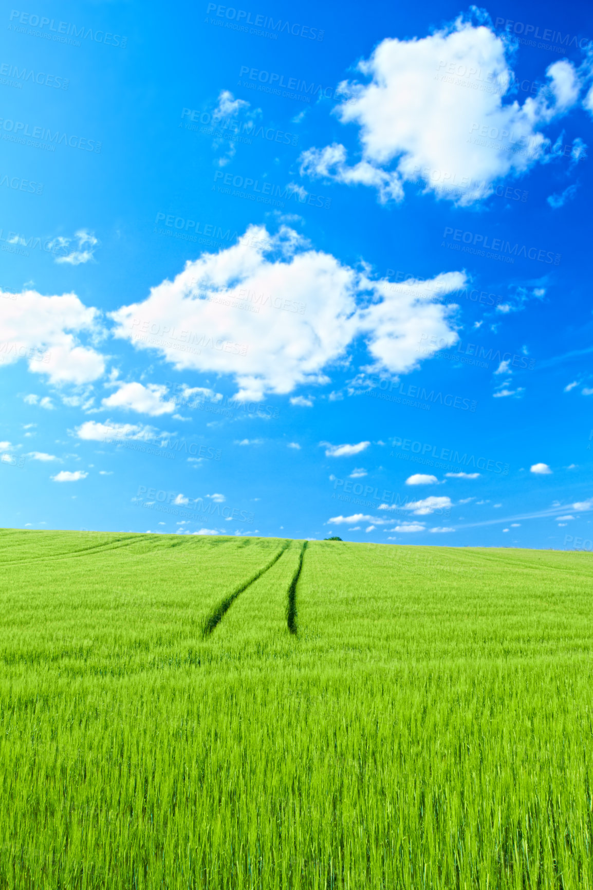 Buy stock photo Farmland in springtime - lots of copy space