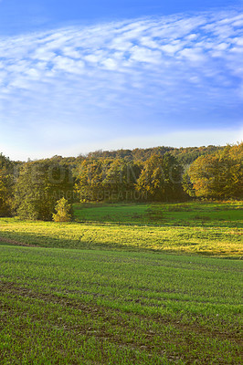 Buy stock photo Land, nature with travel in countryside or farm, meadow or field in Germany with ecology, growth and sustainable. Environment, location and natural background with blue sky landscape for biodiversity