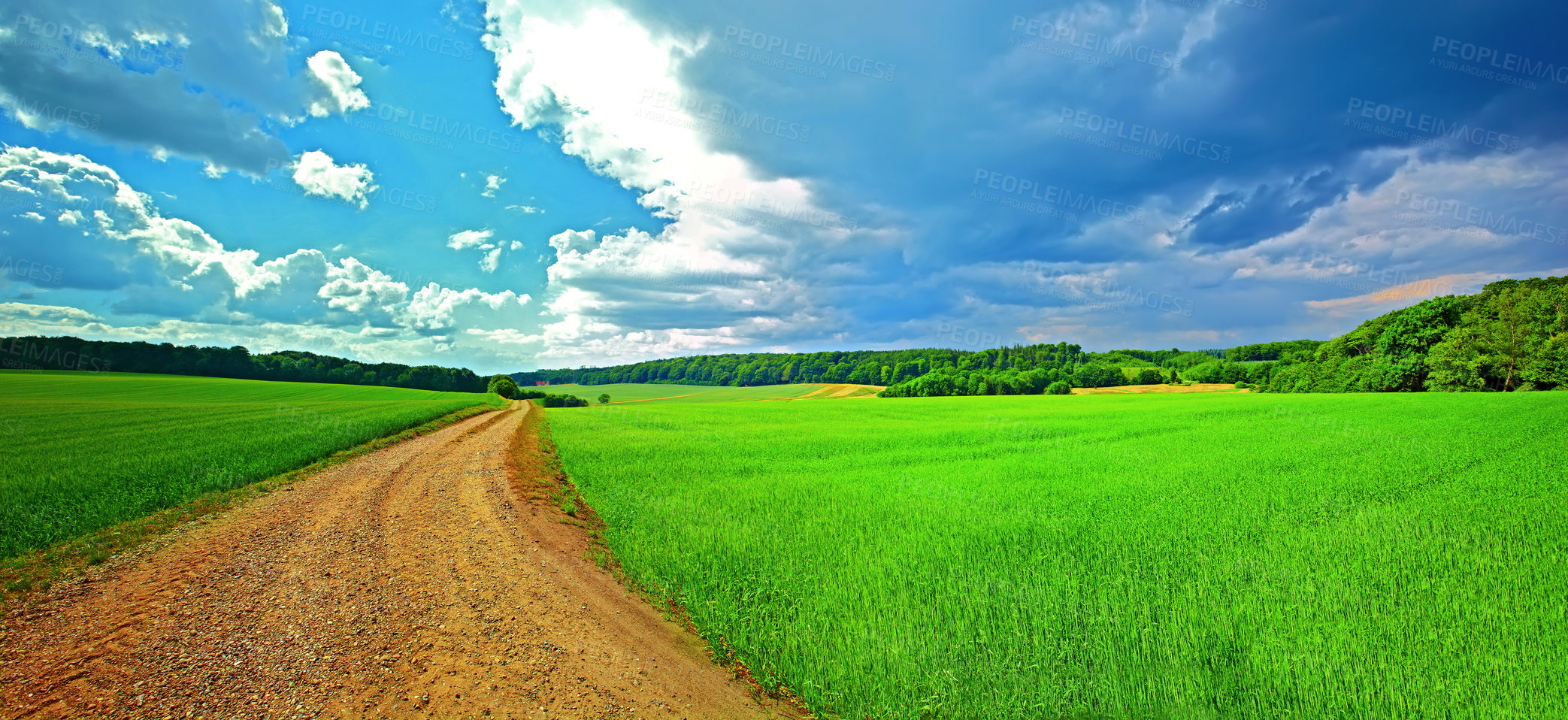 Buy stock photo Farmland, road and trees with grass in environment for conservation, travel or roadtrip and landscape. Grassland, street or cornfield with field, sustainability or ecosystem for countryside adventure