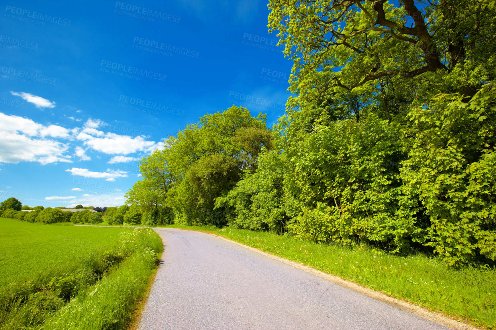 Buy stock photo Road in the countryside in springtime - lots of copy space