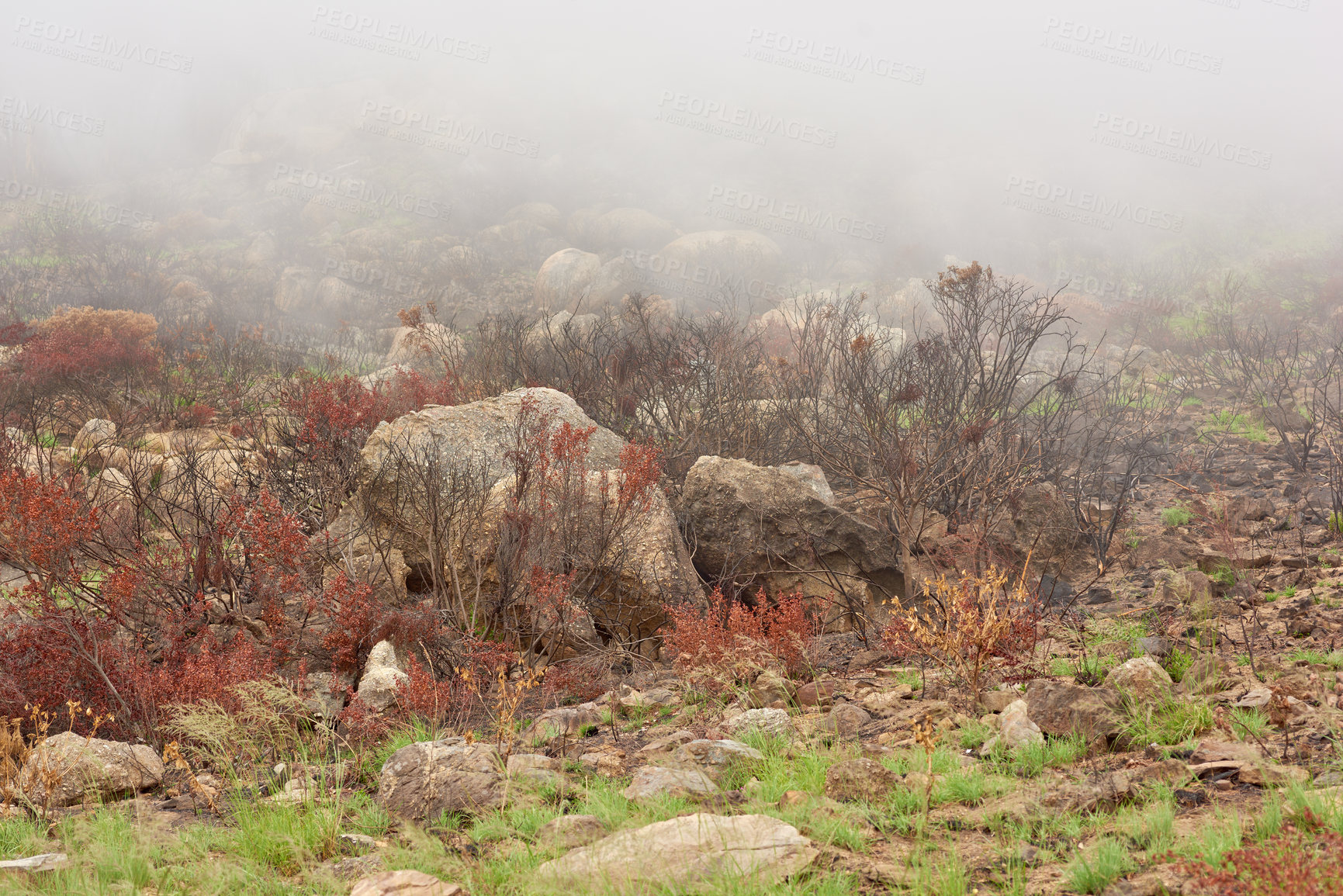 Buy stock photo Closeup of a smog covered mountain with thick smokey air and copyspace. Damaged and scorched landscape of rocky hills and haze. Forest wildfire destroying, spreading and causing environmental damage