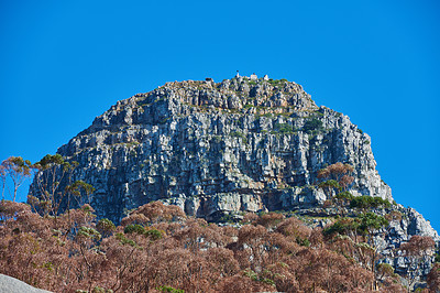 Buy stock photo A big mountain with brown and green trees against a background of clear blue sky and copyspace. Huge rocky terrain perfect for hiking, rock climbing or scenic views of Cape Town rugged outdoors  