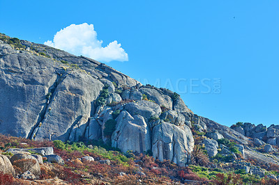 Buy stock photo Landscape view of green and green bushes along rocky terrain. A clear morning after a devastating wildfire caused damage. A mountain on a clear summer day with a blue sky background and copyspace.