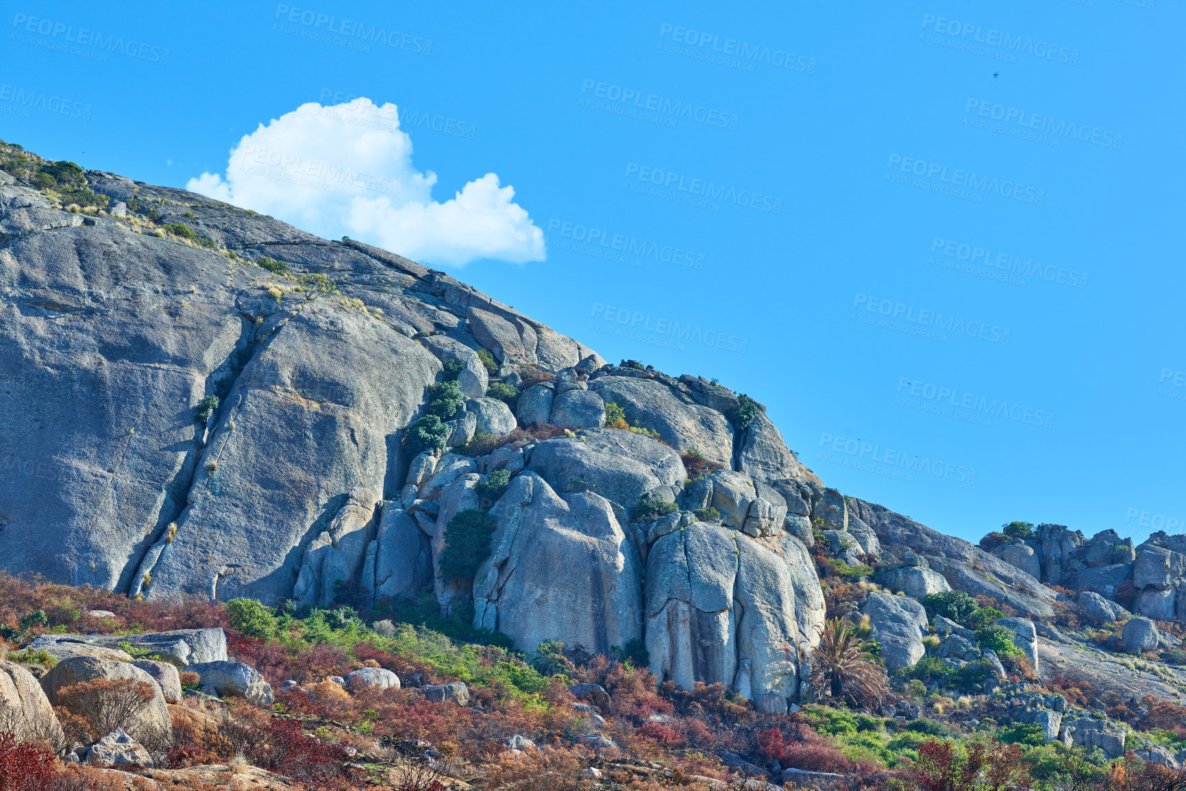 Buy stock photo Landscape view of green and green bushes along rocky terrain. A clear morning after a devastating wildfire caused damage. A mountain on a clear summer day with a blue sky background and copyspace.