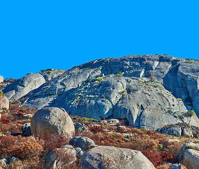 Buy stock photo Landscape view of mountain on sunny day, burnt plants and bushes with copyspace. Rocky terrain with scorched trees on rural land. Environmental damage in wild nature, resulting in deforestation 