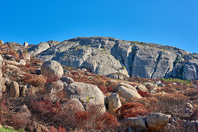 Buy stock photo Landscape view of mountain with burned bushes and plants on Lions Head, Cape Town. The aftermath of a devastating wildfire in nature, rocky terrain showing survived trees in a forest with copy space