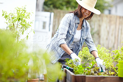 Buy stock photo Shot of a beautiful woman enjoying spending time in her garden at home