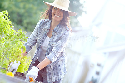Buy stock photo Shot of a beautiful woman working in her garden