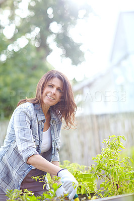 Buy stock photo Shot of a beautiful woman wearing her garden gloves while working in her garden
