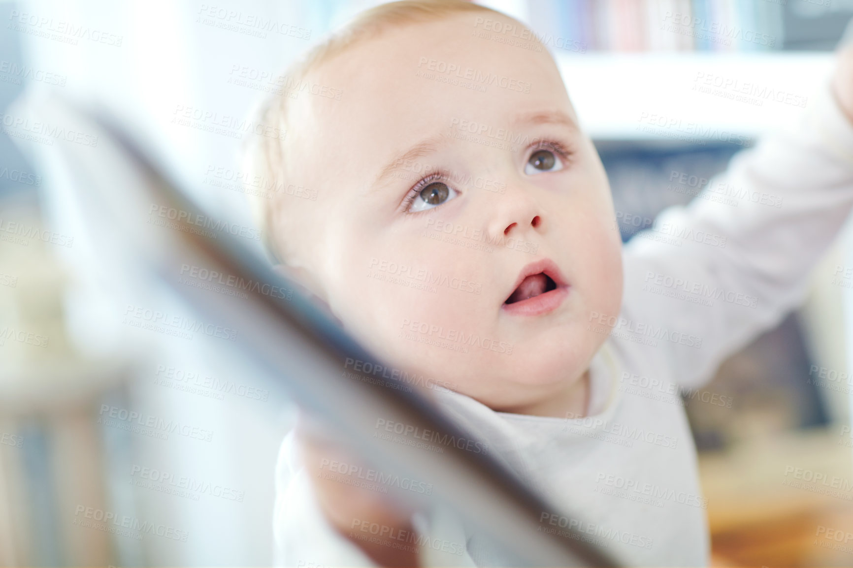 Buy stock photo Shot of an adorable little boy holding a book