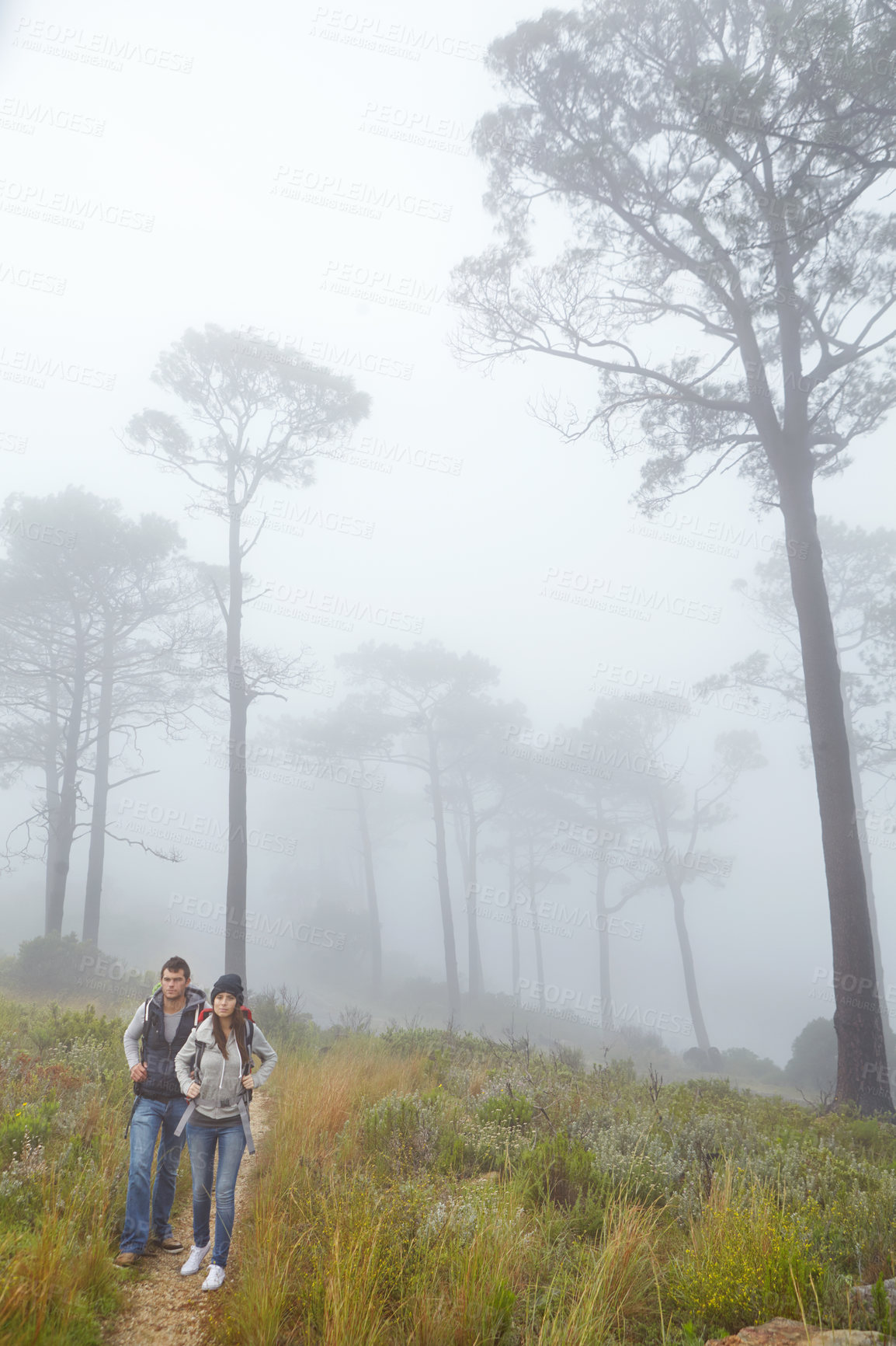 Buy stock photo Full length shot of a young couple hiking along a nature trail