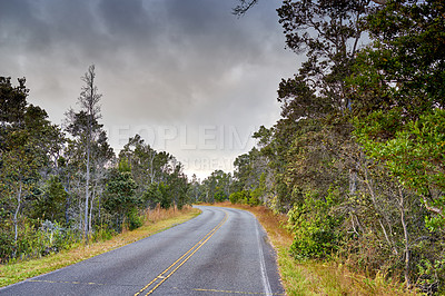 Buy stock photo A road through a forest in Hawaii, USA with a cloudy sky background and copyspace. Scenic views of a woodland landscape on a cold winter's day. Tall trees growing next to ecological life 