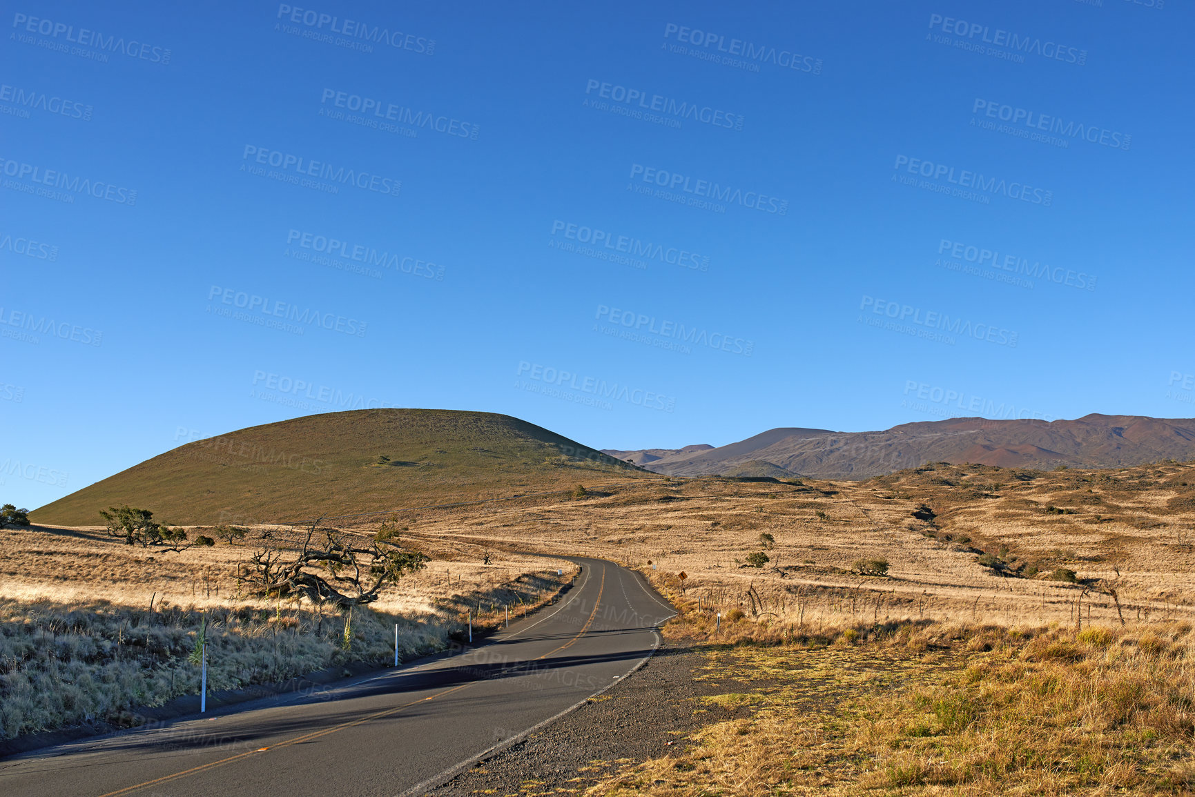 Buy stock photo Road through Landscape at Mauna Loa - the words biggest volcano, Big Island. A beautiful morning view  from road side of Mauna Loa the biggest volcano island.