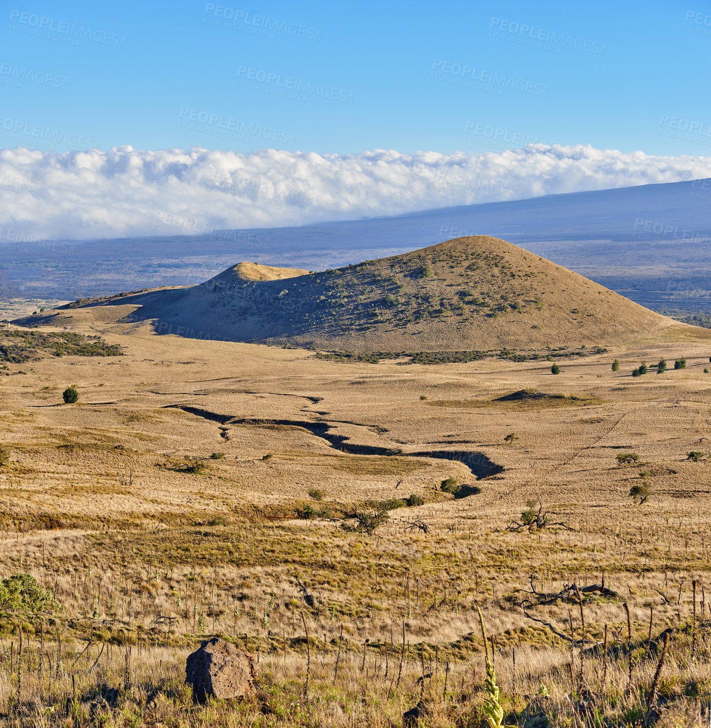 Buy stock photo Desert, mountain and banner of landscape in nature, countryside or journey to inactive volcano in Hawaii. Hill, field and travel to bush in valley with grass, plants and clouds on horizon in blue sky