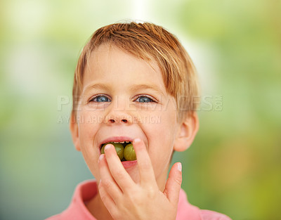 Buy stock photo Boy, child or portrait grapes in mouth for health nutrition snack, lunch dessert or vitality development. Male, kid or fruit face for happy eating outdoor summer food, nature picnic or fibre minerals