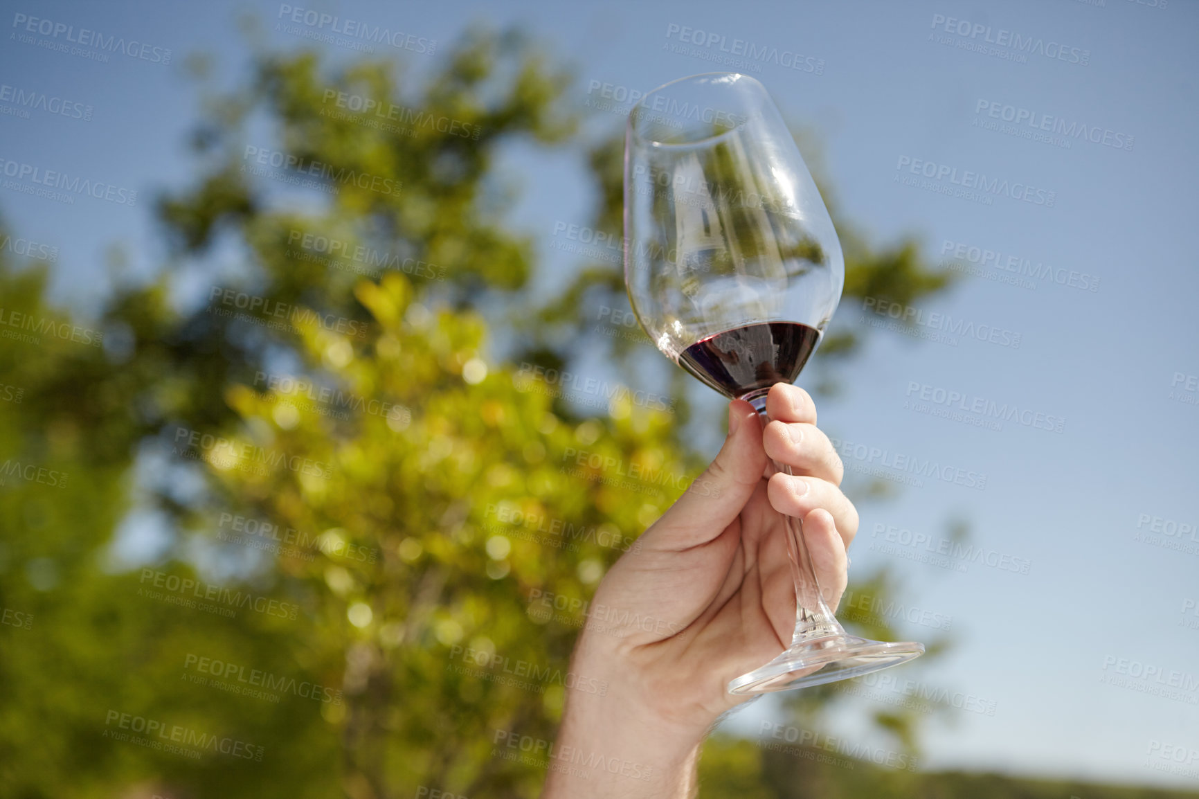 Buy stock photo Hand, wine glass and nature with blue sky, outdoor and vineyard as adventure, travel and destination. Person, farm and alcohol drink in countryside for vacation, holiday and sustainability as tourist